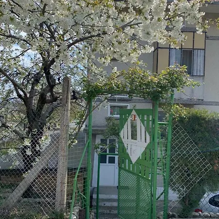 къща спирови 酒店 Ignatievo